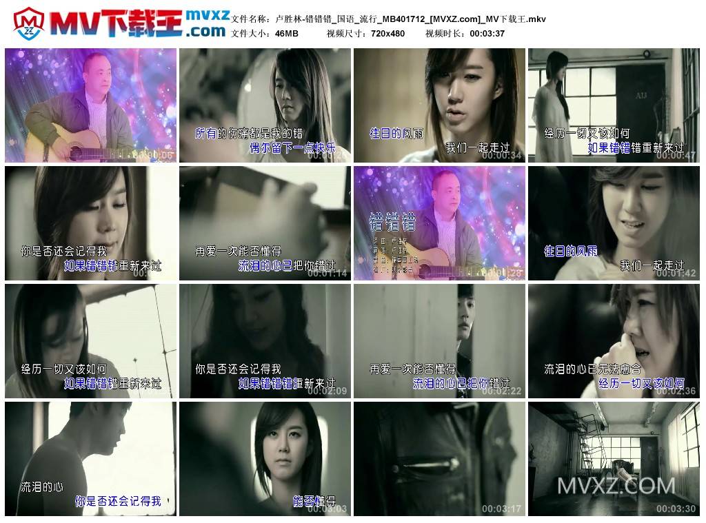 卢胜林-错错错_国语_流行_MB401712